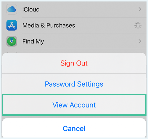 A screenshot of the Apple ID settings with "View Account" highlighted.