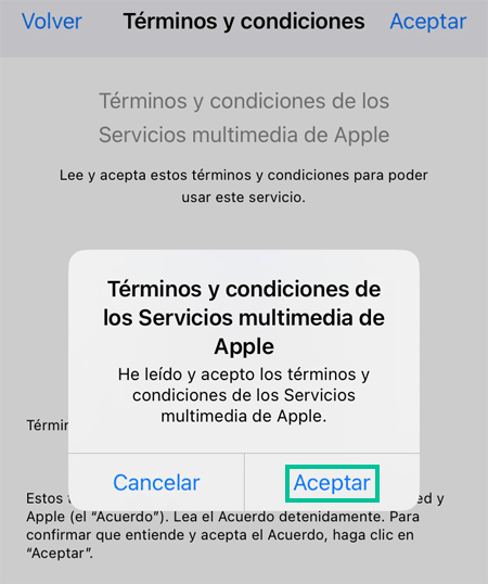 Instalar TikTok en iPhone aceptar términos y condiciones