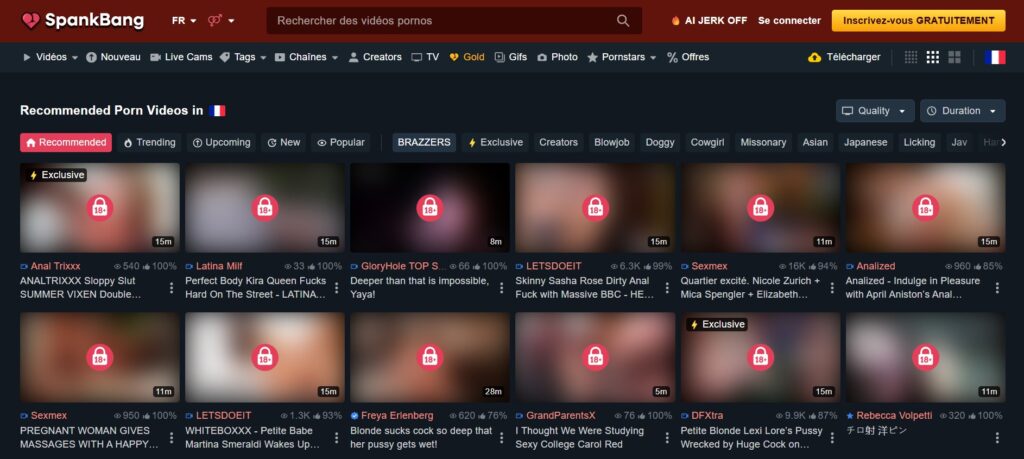 Vérification de l'âge sur Spankbang en France à l'aide d'une pièce d'identité