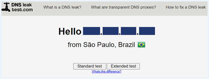 captura de tela do teste de vazamento de dns