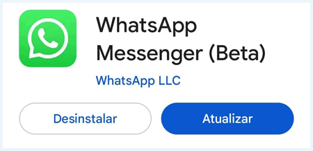detalhe da loja de aplicativos com botão Atualizar em destaque