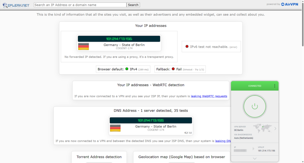 PIA's DNS leak test results