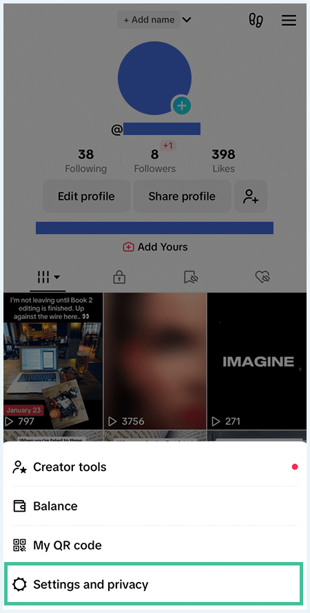 A screenshot of the TikTok Settings and Privacy option