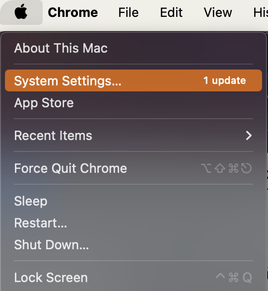 System update on MacOS