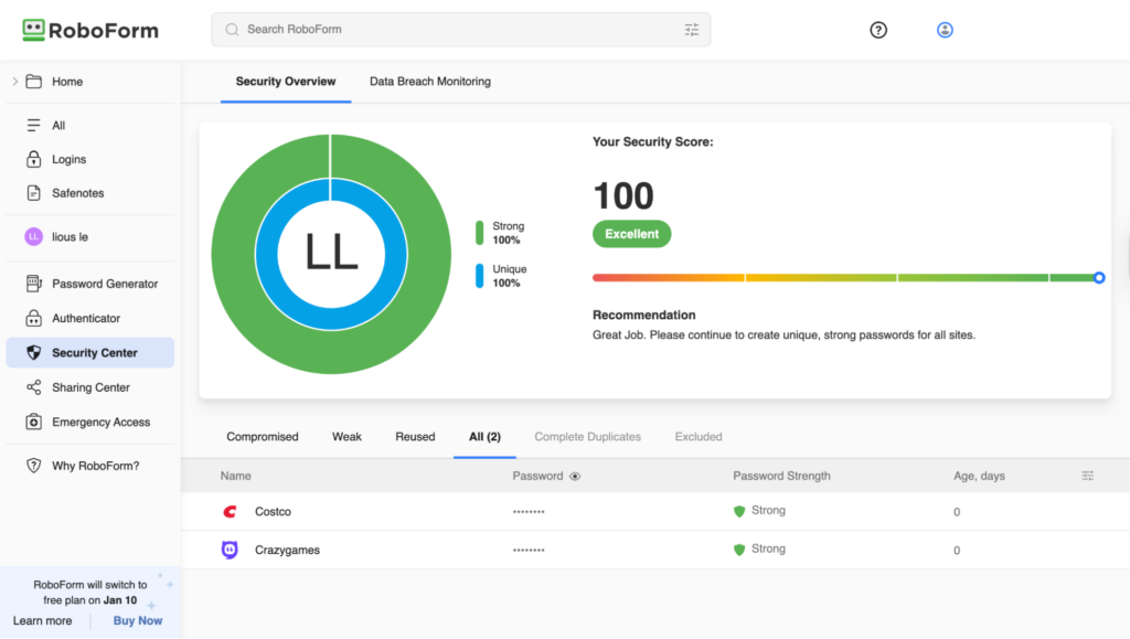 RoboForm's password audit